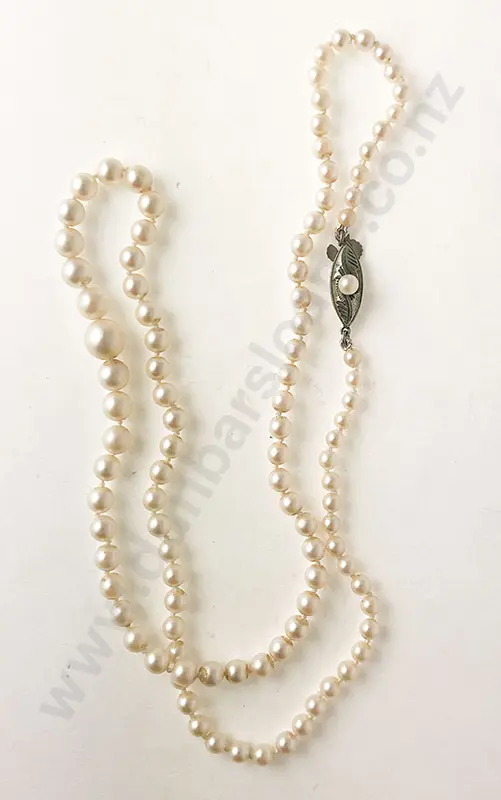 Graduated Single Strand Cultured Pearl Necklace Image 1++