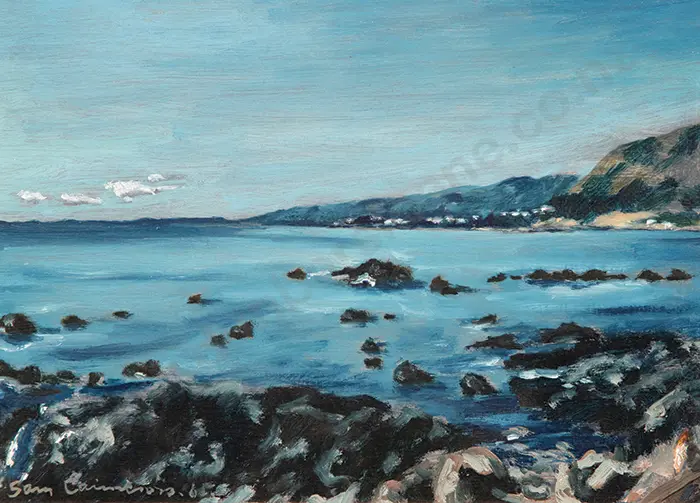 Sam Cairncross - South Coast, Wellington Image 1++