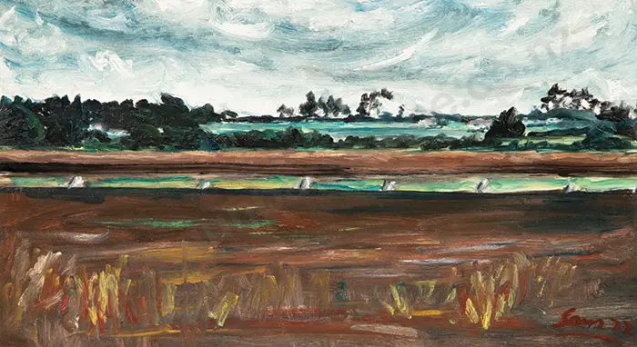 Sam Cairncross - Landscape near Auckland Image 1++