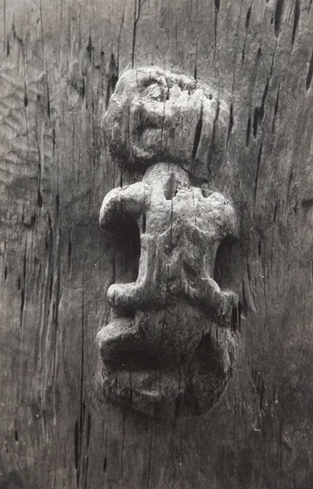 Peter Peryer - Tatau Image 1++