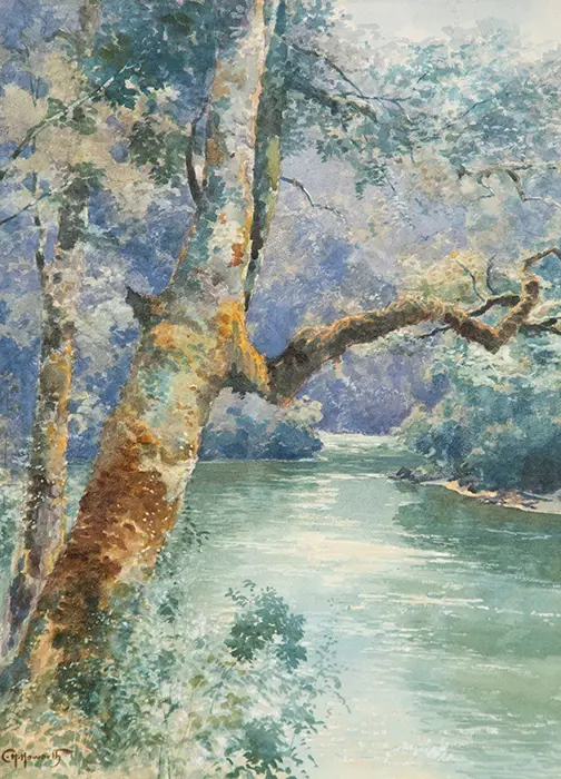 C H Howorth - Whanganui River Image 1++