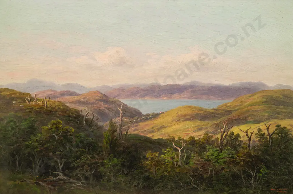 W G Baker - Near Wellington Image 1++