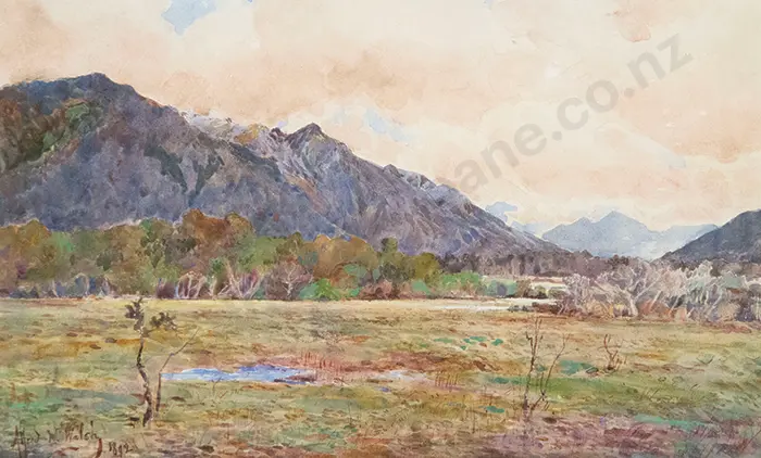 Alfred Walsh - Taramakau Image 1++
