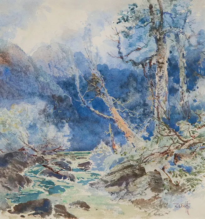 WM Hodgkins - Waiwaru Bush Image 1++