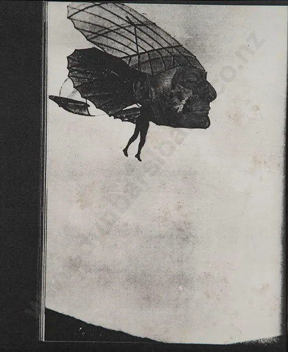 Jason Greig - Dragonfly Image 1++