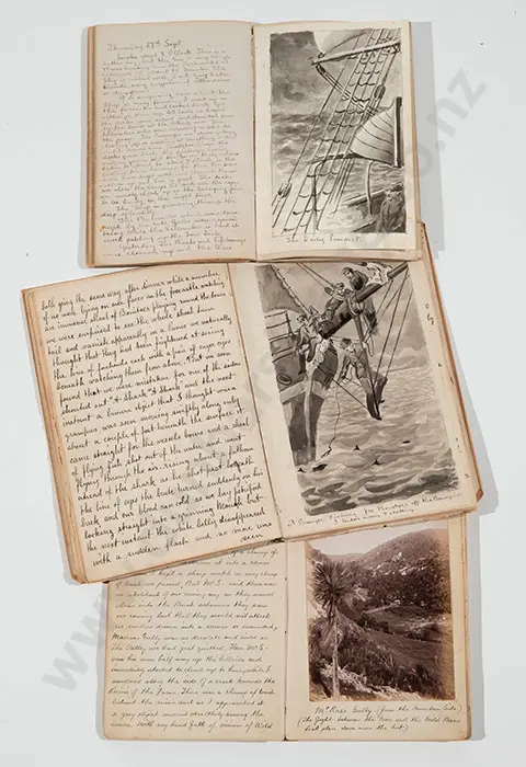 James Elder Moultray Personal Diaries Image 1++