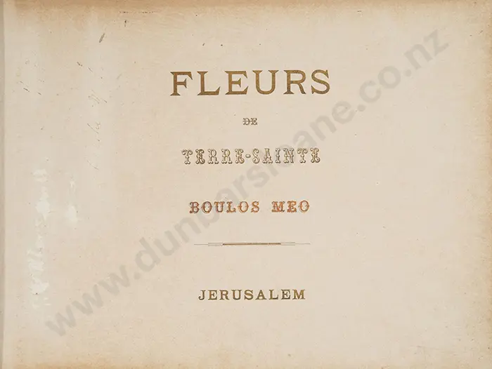 Flowers Of The Holy Land Image 1++