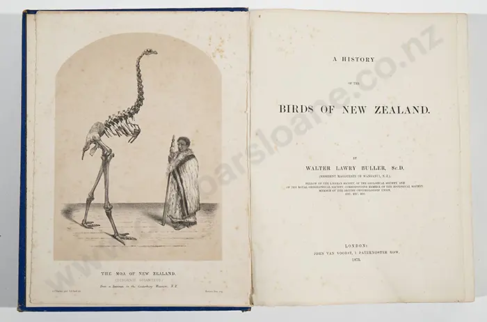 Buller Image 1++