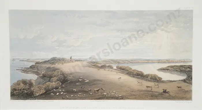 F.R.Stack (after) View Of Auckland Image 1++