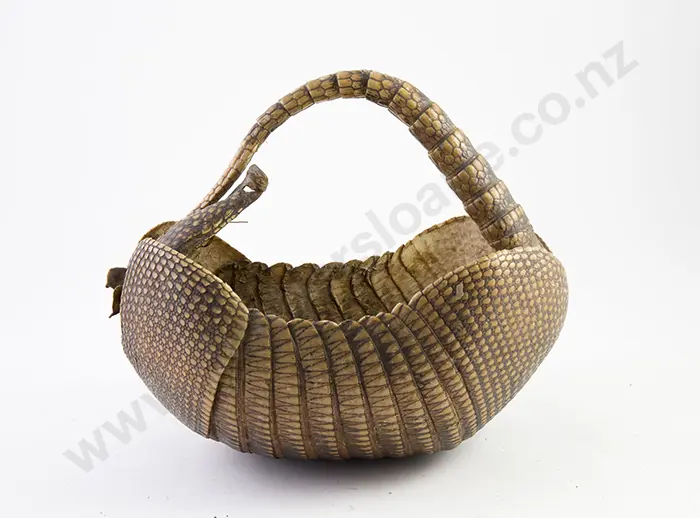 Armadillo Shell Image 1++