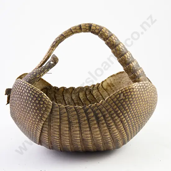 Armadillo Shell