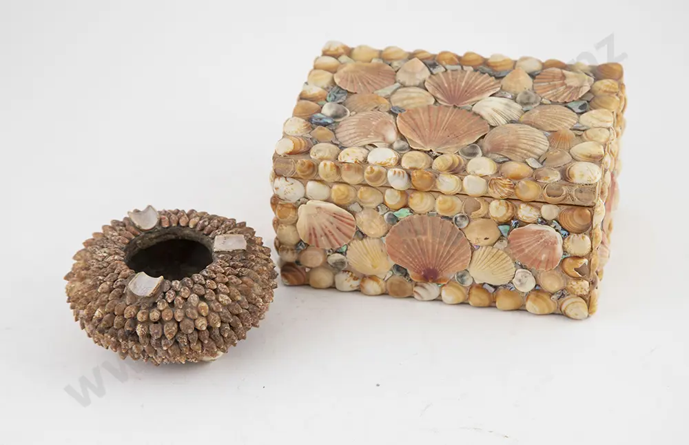 Collection Sea Shell Folk Art Ware Image 1++