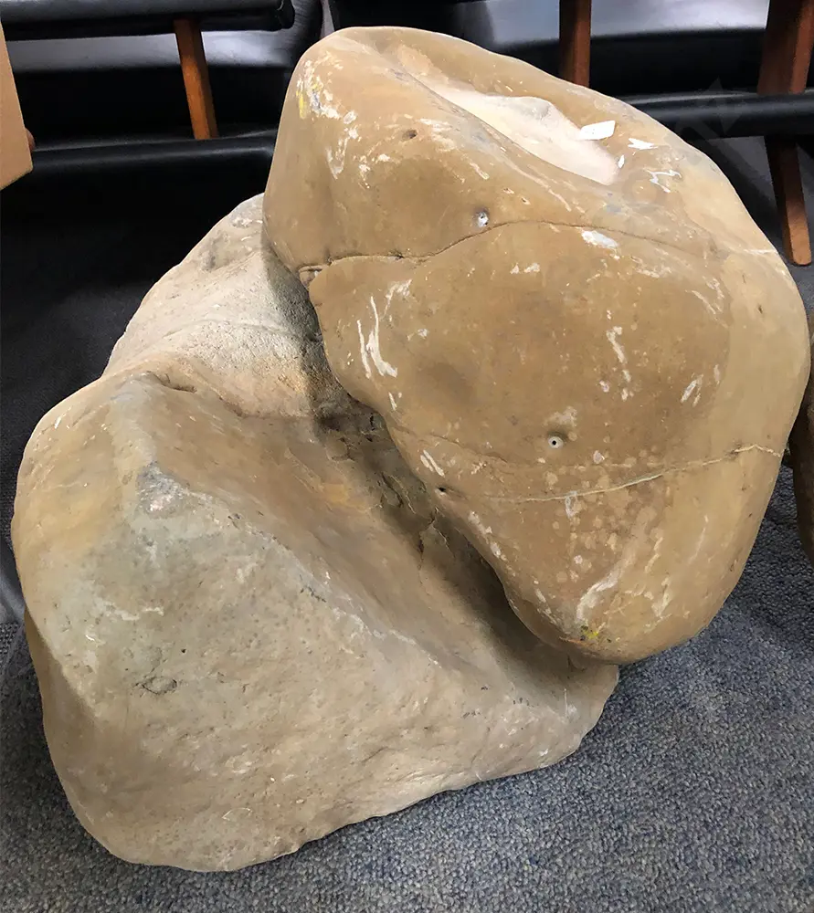 Two Fossil Boulders Image 1++