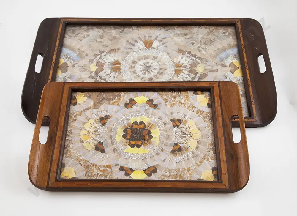Two Early C20th Butterfly Wing Trays Image 1++