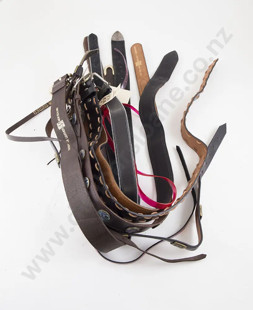 Collection EX23 Leather Belts (12) Image 1++