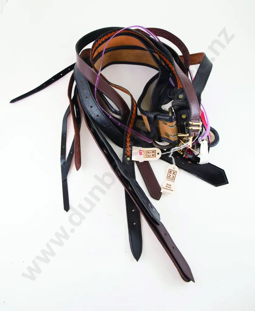 Collection EX23 Leather Belts (12) Image 1++