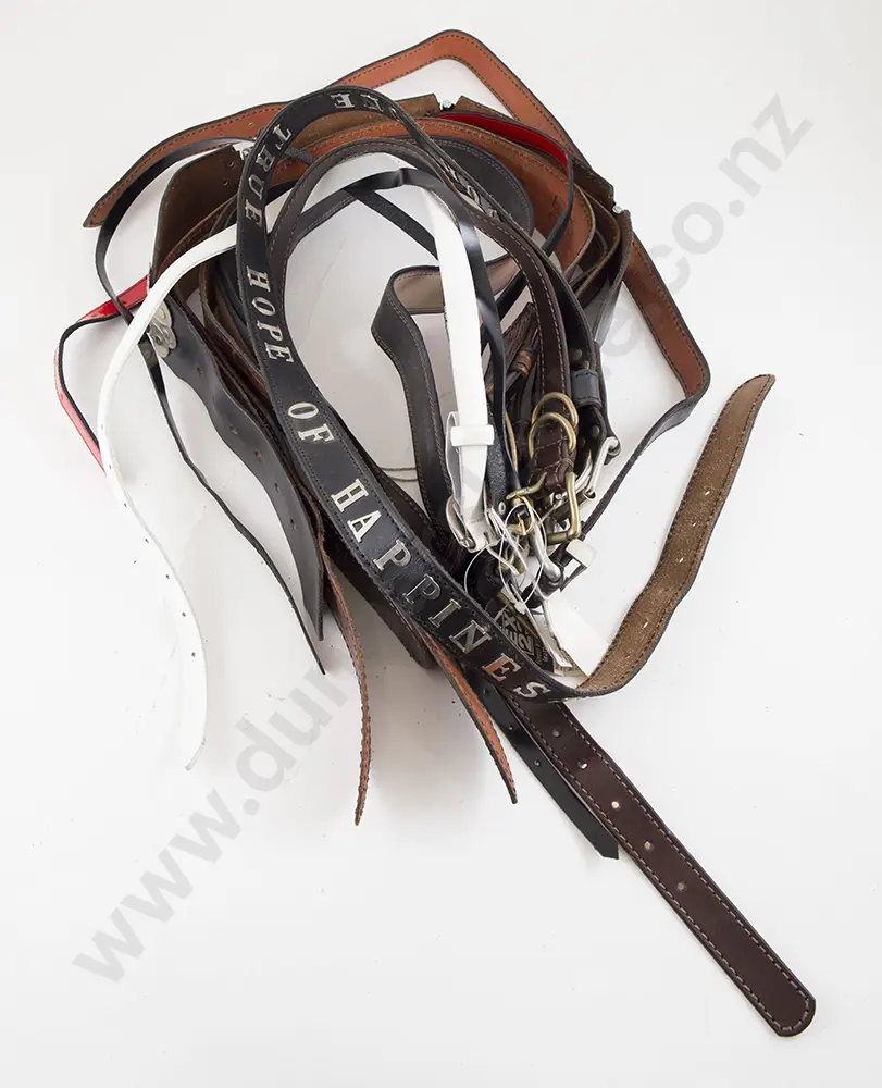 Collection EX23 Leather Belts (12) Image 1++