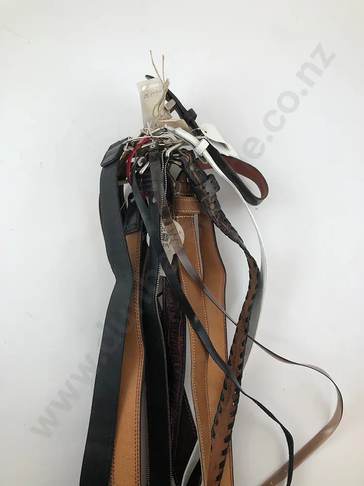 Collection EX23 Leather Belts (12) Image 1++
