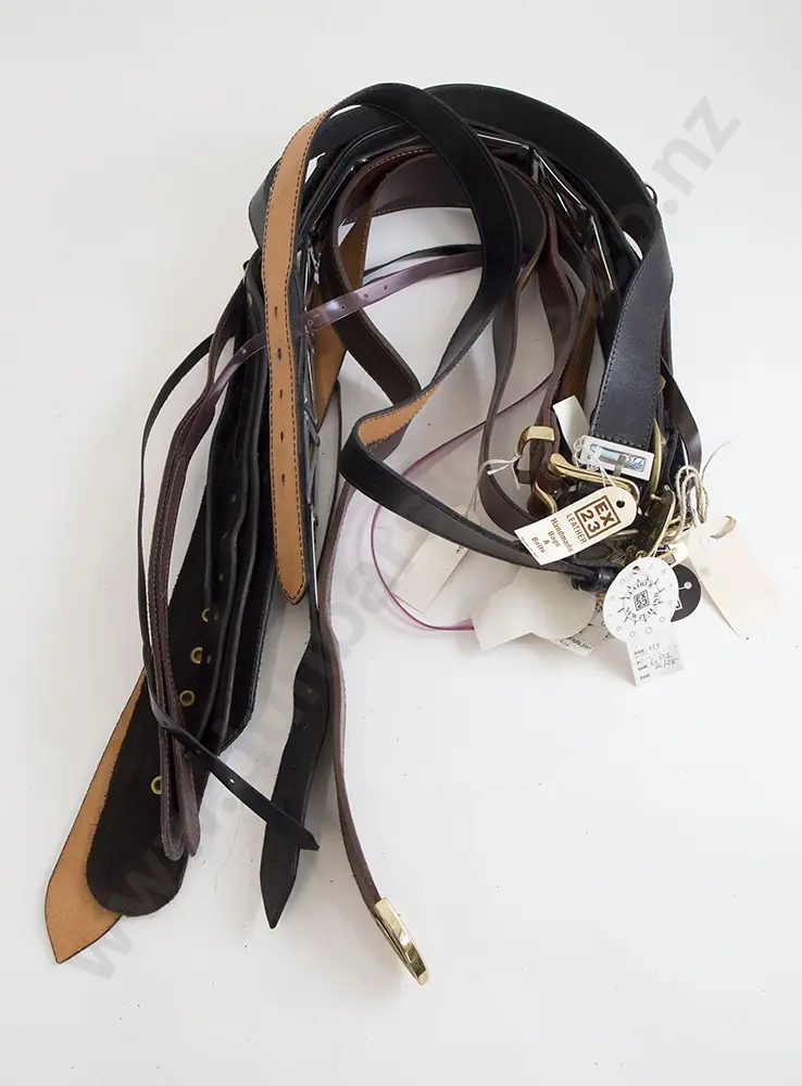 Collection EX23 Leather Belts (12) Image 1++