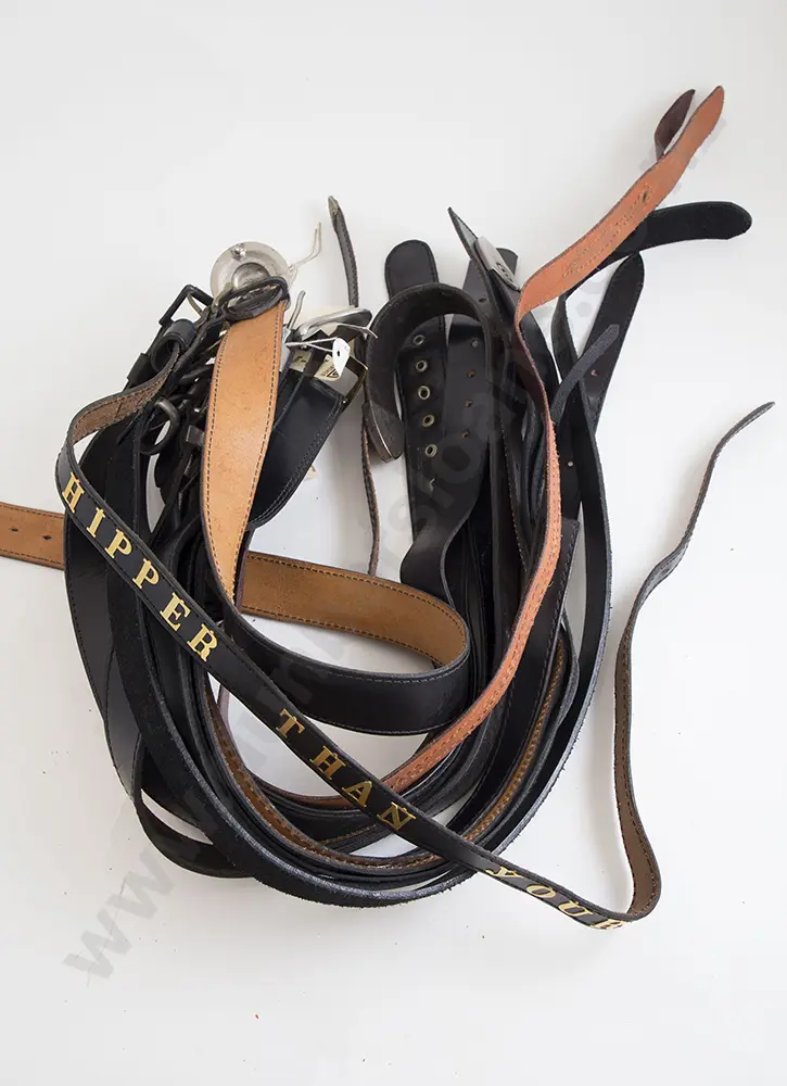 Collection EX23 Leather Belts (12) Image 1++