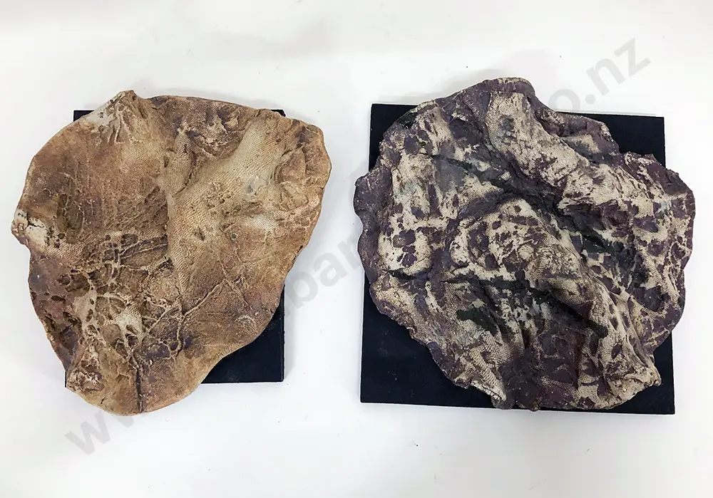 Doreen Blumhardt Rock Impression Wall Plaques (5) Image 1++