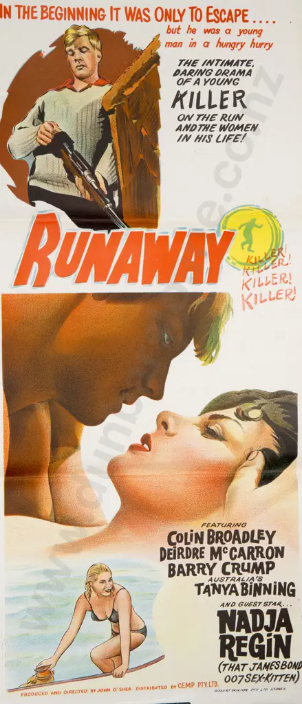 Vintage Foyer Movie Posters and others (32) Image 1++