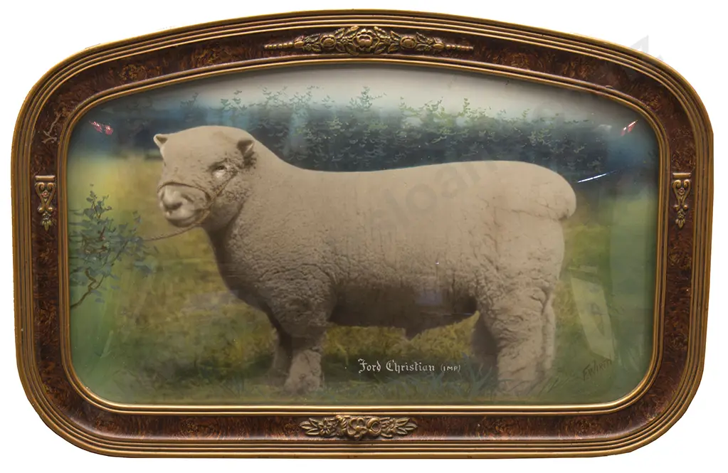 F Wirth - Hand Coloured Photograph Image 1++