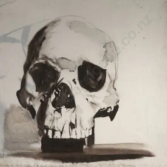 Unknown - Skull