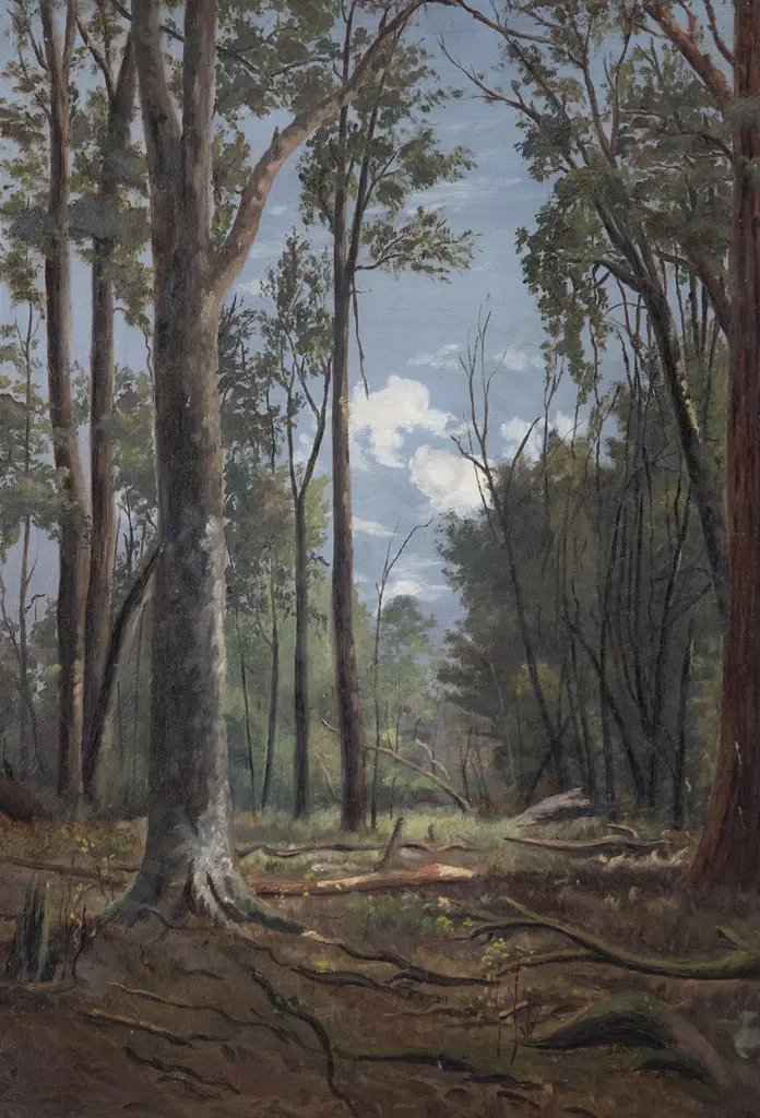 NZ Colonial - Forest Scene Image 1++