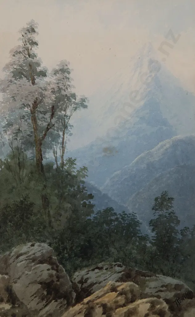 Tom Peerless - Near Milford Sound Image 1++