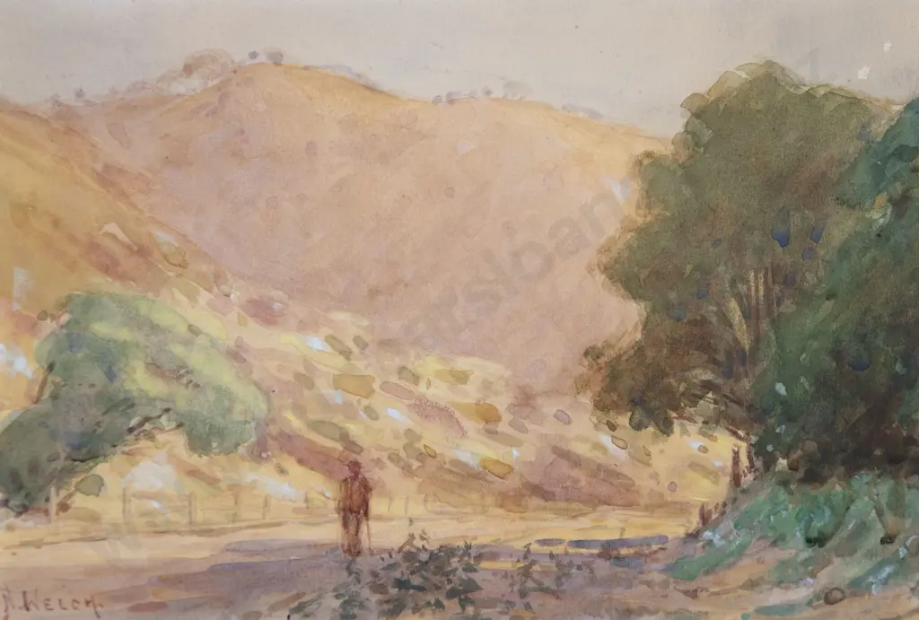 Nugent Welch - Wellington Valley (Karori) Image 1++