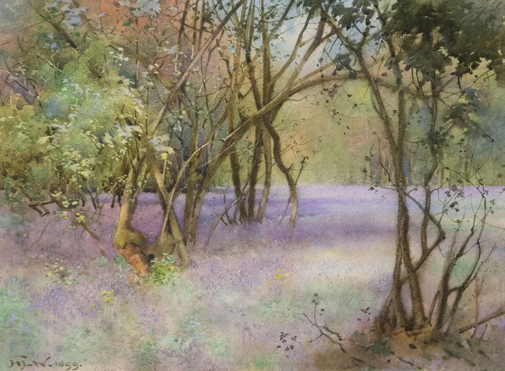 H L Norris - Bluebells, The Avon Vallery Image 1++
