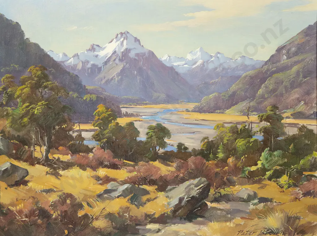 Peter Brown - The Hopkins Valley from Lake Ohau Image 1++