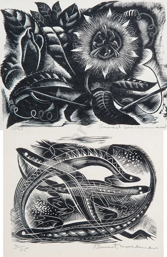 Stewart Maclennnan - prints (2) Image 1++