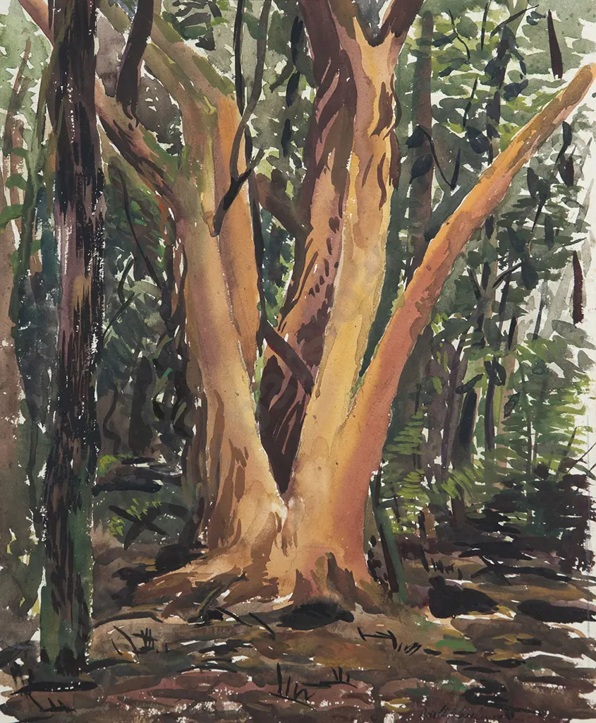 Dorothy Maclennan works on paper (6) Image 1++