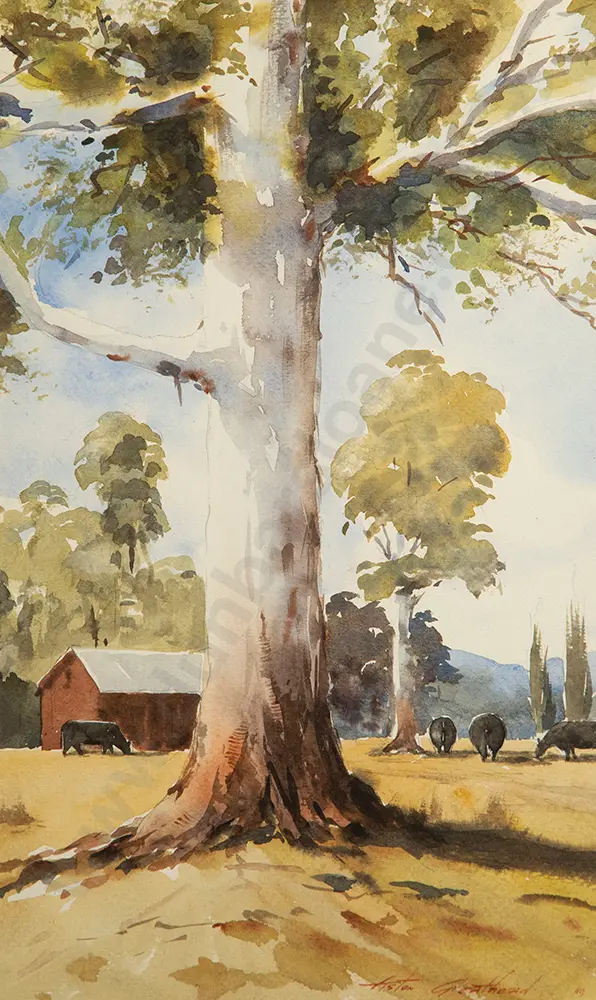 Aston Greathead - Near Amberley, North Canterbury Image 1++