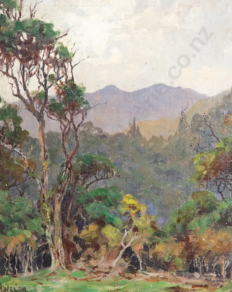 Nugent Welch - NZ Natives Image 1++