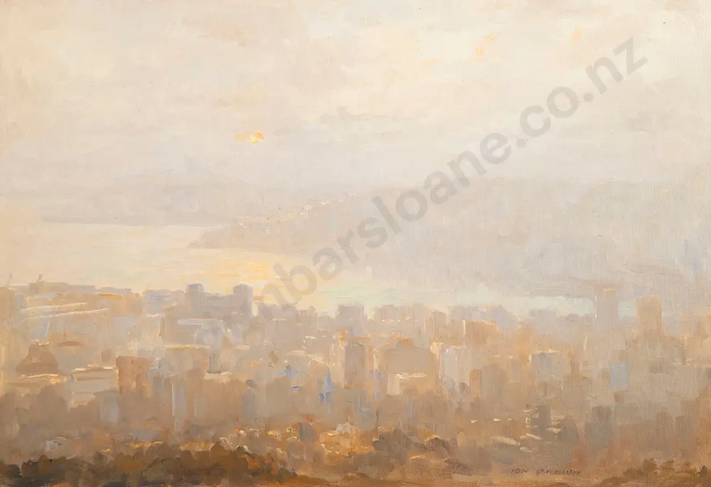 Ion Brown - Wellington Sunrise Image 1++