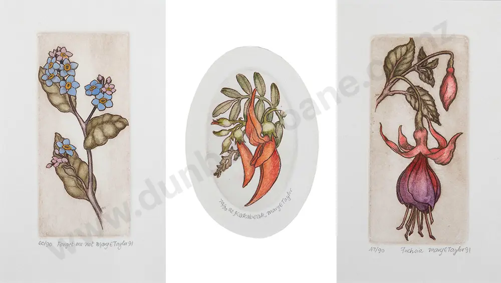 Cynthia Taylor etchings (3) Image 1++