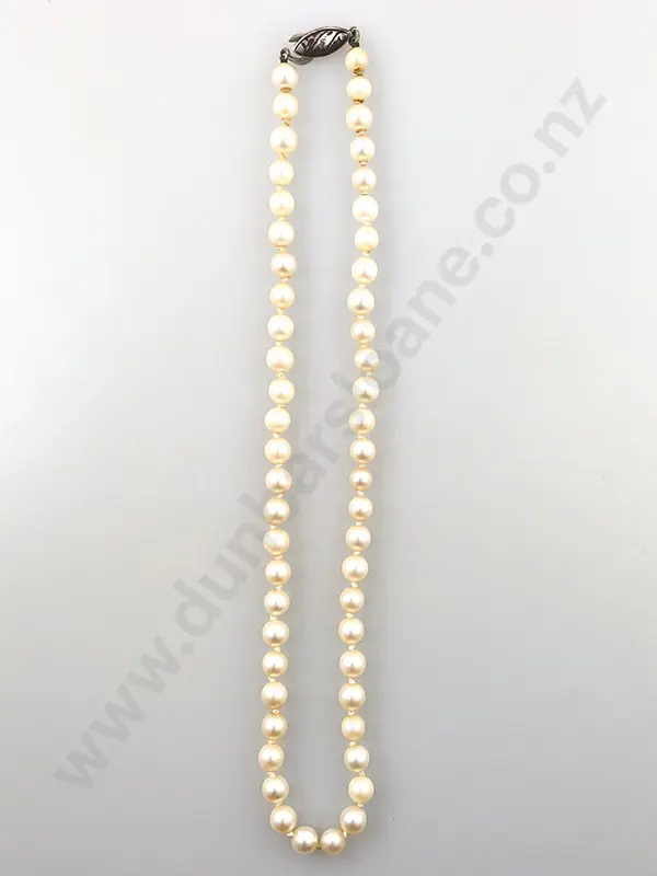 Single Strand Cultured Pearl Necklace Image 1++
