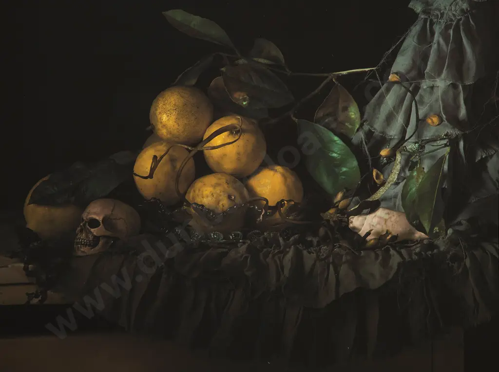 Fiona Pardington - Still Life with Lemons & Seaweed Image 1++