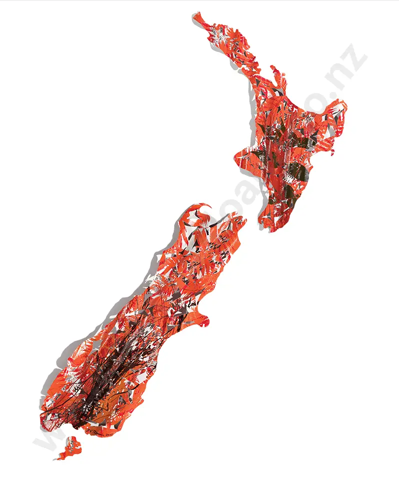 Jeff Thomson - Map of Aotearoa/ New Zealand Image 1++