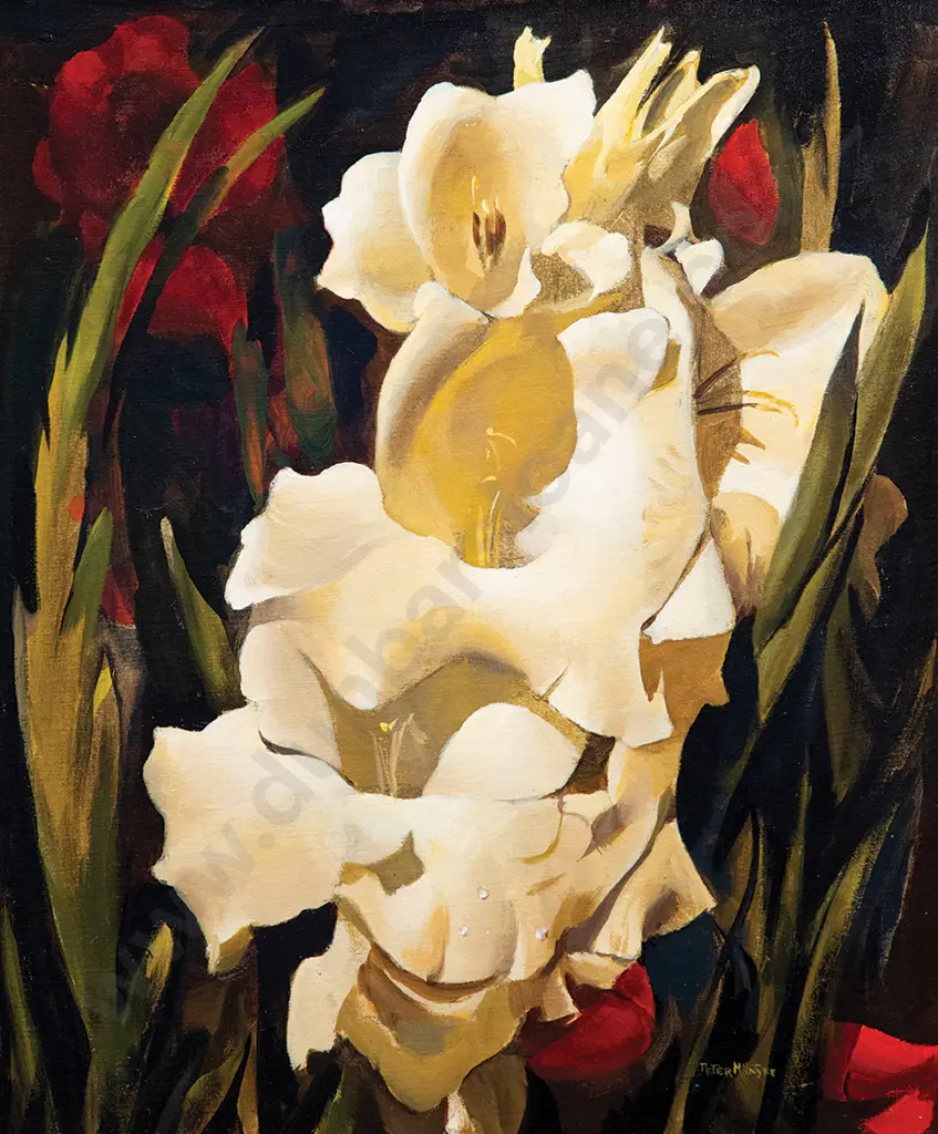 Peter McIntyre - Gladioli Image 1++