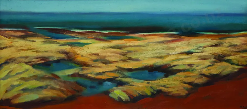 Doris Lusk - Rocks at Mikonui Image 1++