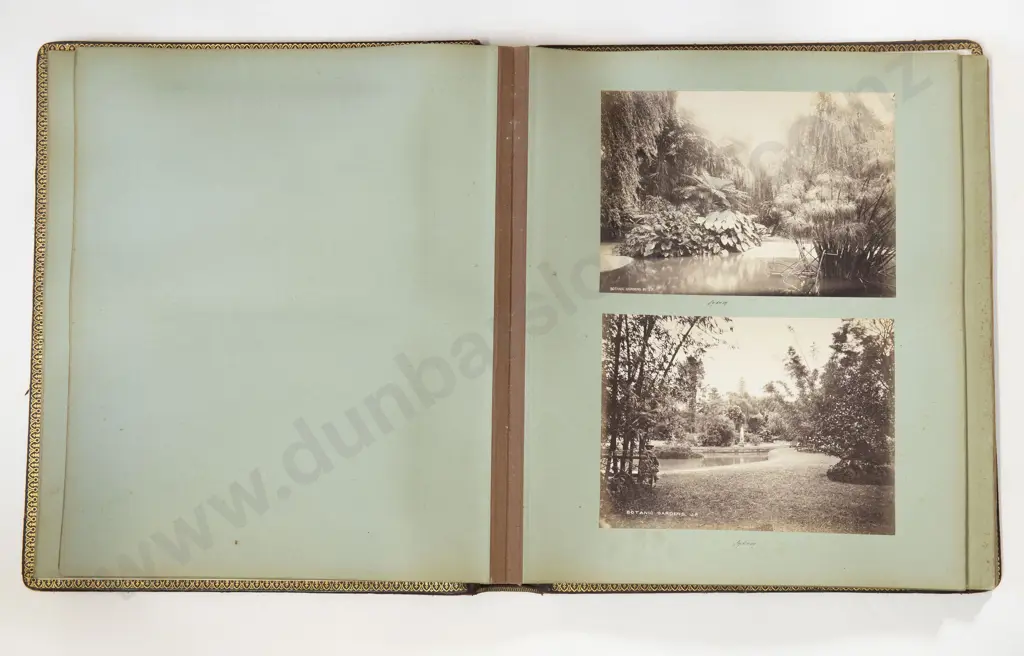 John Paine (Australian 1834-1915) Australian Vintage Photographic Album Image 1++