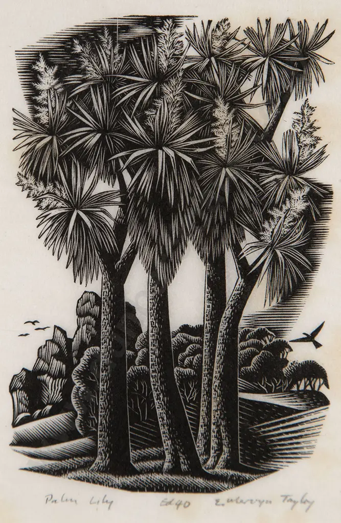 E Mervyn Taylor - Palm Lily Image 1++
