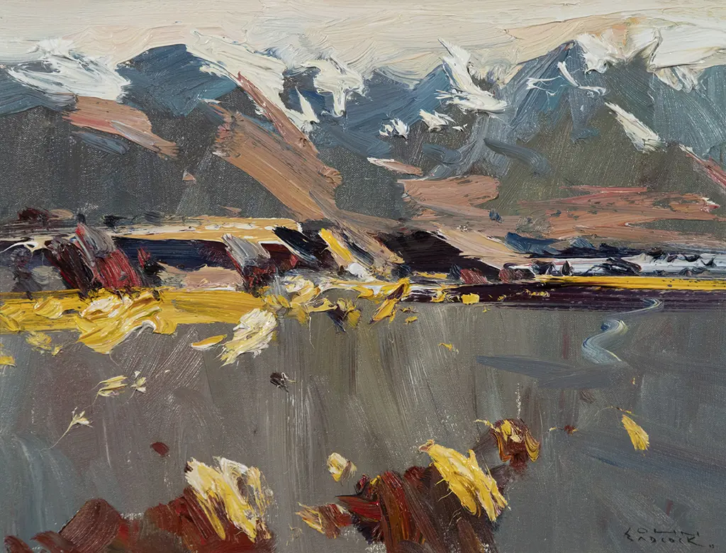 John Badcock - Rangitata River Flats Image 1++