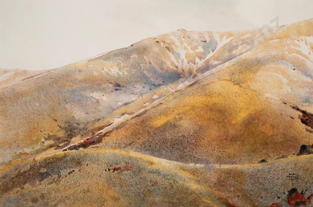 Rob McDowell - Lewis Pass Image 1++