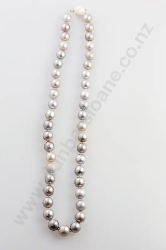 Single Strand Cultured Pearl Necklace Image 1++