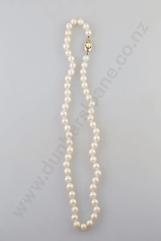 Single Strand Cultured Pearl Necklace Image 1++